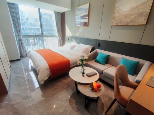 独栋·诗莱德酒店公寓 诗莱德行政公寓店 宁静淡雅一居室 1室1厅