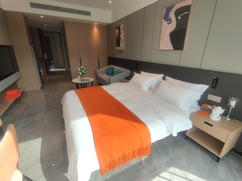 独栋·诗莱德酒店公寓 诗莱德行政公寓 阳光大床房一居室 拎包入住 1室1厅