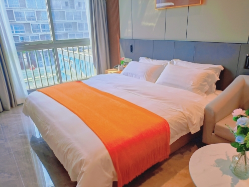 独栋·诗莱德酒店公寓 诗莱德行政公寓店 舒适温馨一居室 直租 无中介费 1室1厅