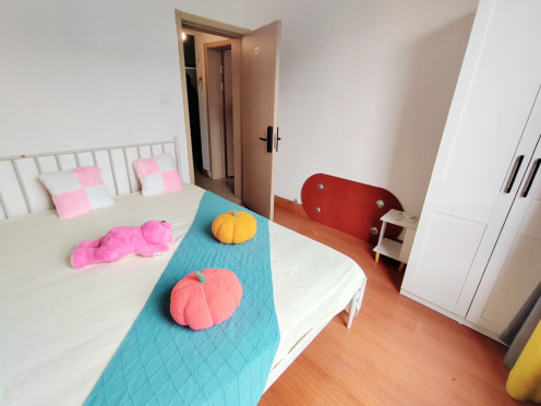 合租·双楠谊苑一期 4居室 南卧