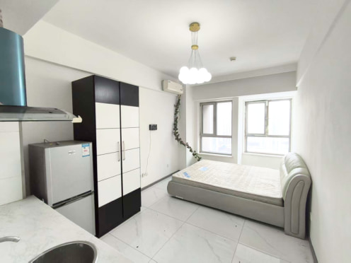 独栋·彩妆公寓·民宅租赁 沈辽路万达广场公寓D座 月付可长短租免中介费沈辽路万达地铁滑翔盛京医院电梯空调能做饭 1室1厅