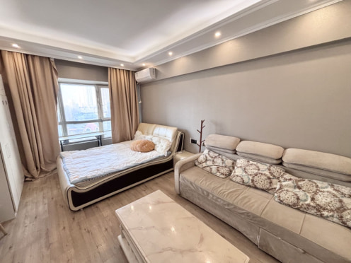 独栋·彩妆公寓·民宅租赁 中海国际公寓 可月付可长短租免中介费电梯兴工沈阳站西广场52平能做饭 1室1厅