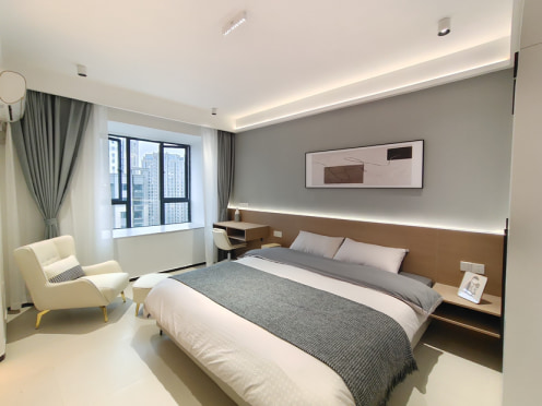 独栋·安欣公寓 安欣悦居店 临近万象城的朝南大飘窗温馨一室一厅 1室1厅