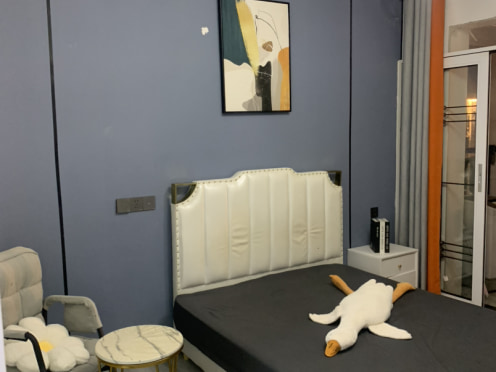 独栋·安欣公寓 宝能店 临近招商花园城，万盛，娱乐城阳台单间 开间