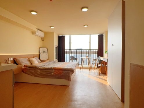 独栋·司岳公寓 宝龙城市广场店 空中阁楼上户大户型 闹中取静 房东直租 押一付一  包网 开间