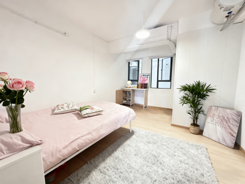 独栋·安居乐寓 石岩应人石店（老村） 13号线应人石老村高楼层阳光大单间拎包入住227-1004 开间