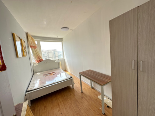 合租·埠东佳苑 5居室 南卧