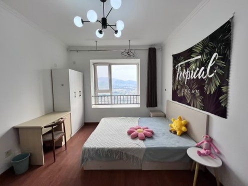 合租·桃源居 4居室 南卧