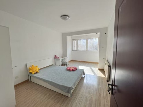 合租·埠东佳苑 4居室 南卧