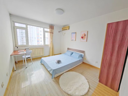 合租·埠东佳苑 4居室 南卧