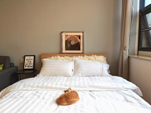 独栋·泊寓 太科园店 【新吴软件园房福利】可办租房补贴，长租特惠，近万达商圈 开间