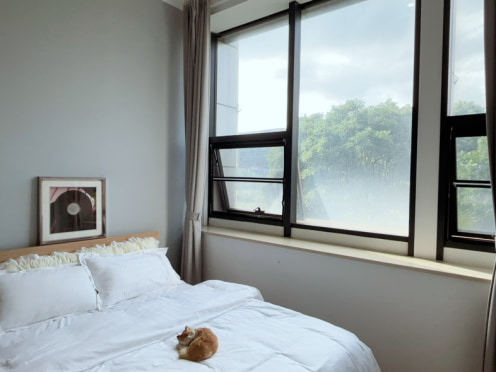 独栋·泊寓 太科园店 【新安泊寓温馨一居】家电齐全 告别合租 企业集群 开间