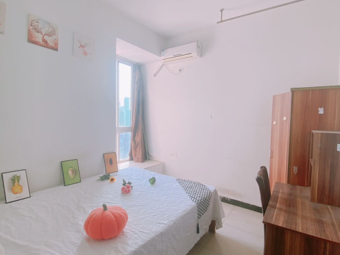 合租·雅典汇 4居室 南卧