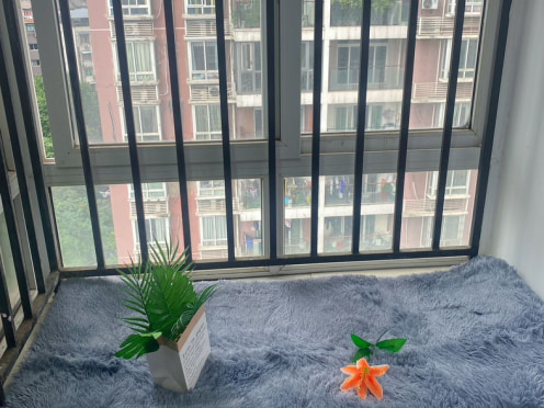 合租·龙锦苑 4居室 南卧