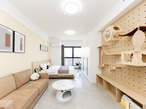 独栋·租建投安居公寓 合生社区并州帝景店 每月减免266，仅前9个月，茂业大落地窗 精装无中介 拎包入住 可月付猫咪房 养宠无忧--63 1室1厅