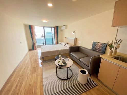 独栋·欧式奢寓 智慧新城三区店 精装小区单间 1室1厅