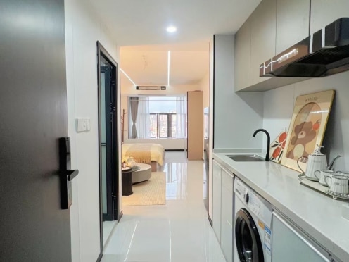 独栋·欧式奢寓 星晖广场店 国企小区 民水民电  免半个月房租  豪华装修 1室1厅