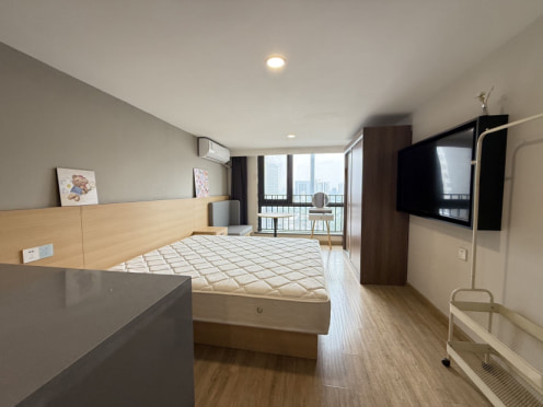 独栋·优梦翼 云悦公馆店 高配一室  多套房源 可押一付一  免费看房 1室1厅