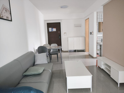 独栋·电建悦生活 洺悦玖玺9栋 武侯区精装舒适套一，拎包入住家具家电齐全 1室1厅