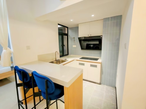 独栋·融寓 桃源店 【公寓直租12个月起租】开业特惠 包管理送网络50平超大单间 G户型 开间