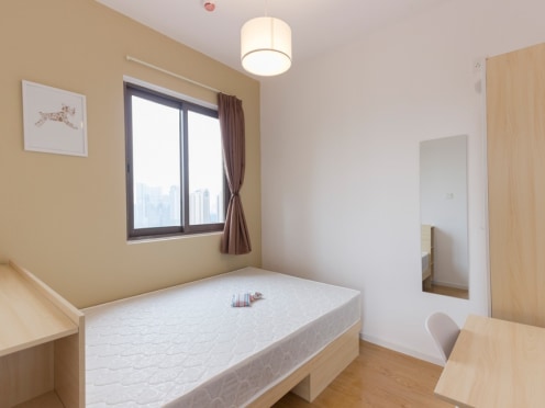 合租·银海中心 4居室 东卧