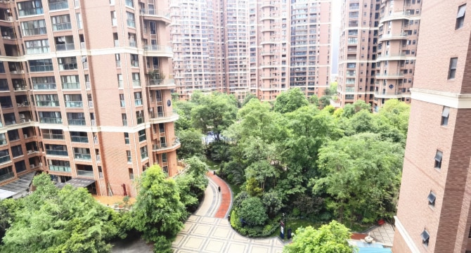 棕榈南岸