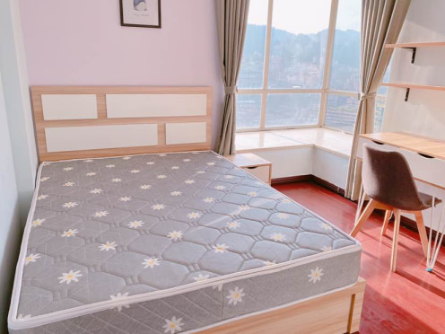 合租·盛世明珠 3居室 南卧