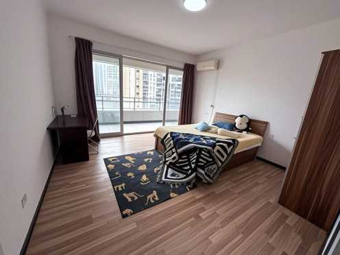 合租·新鸿基悦城 3居室 南卧