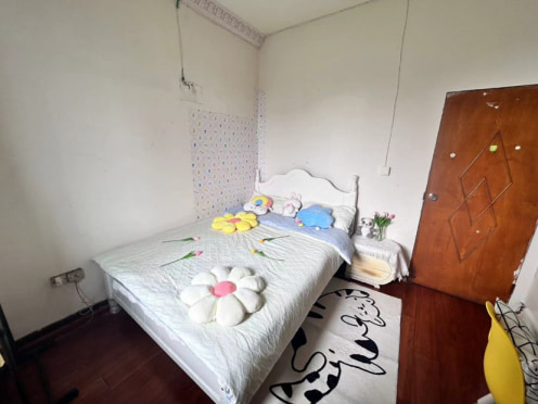 合租·一环路西三段3号 3居室