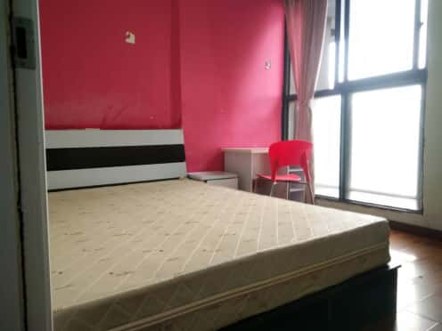 合租·华侨城天鹅堡 5居室 西南卧