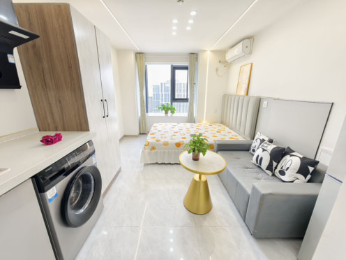 独栋·康佳公寓 咸阳中南菩悦中心 可月付一室 1室1厅