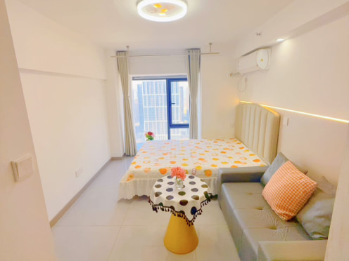 独栋·康佳公寓 咸阳中南菩悦中心 地铁口精装一室 1室1厅