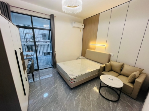 独栋·新利江公寓 埌东村十三组店 青秀万达 富安居 航洋会展附近 长湖滨湖39-505 开间