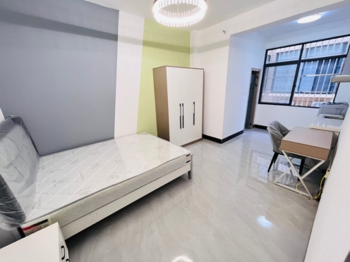 独栋·新利江公寓 埌东村十三组店 青秀万达 东葛内街 三号线滨湖站 配套齐 金湖广场85-01 开间