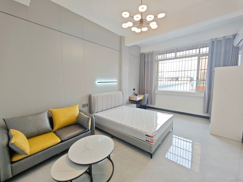 独栋·新利江公寓 朝阳店 朝阳市中心 交易场北大313 开间