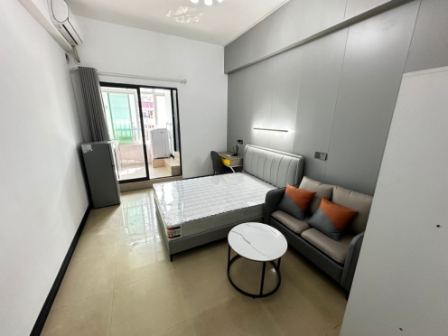 独栋·新利江公寓 朝阳店 朝阳市中心 民生广场 西关夜市203 开间