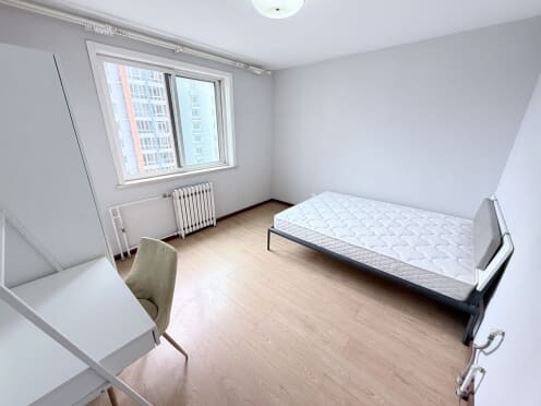 合租·银领国际 4居室 南卧