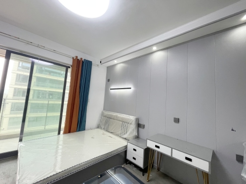 合租·城投艺墅语湖 4居室 南卧