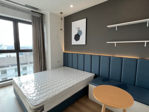 独栋·期寓 期寓-绿地新都会店 期寓豪华户型 1室1厅