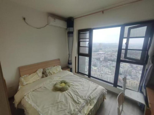 合租·普得先锋国际 3居室 南卧