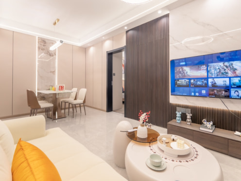 独栋·飞图公寓 新希望D10天府 新希望D10天府  市中心套二  牛王庙地铁口 2室1厅