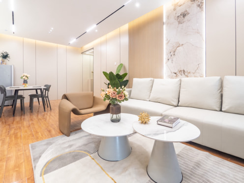 独栋·飞图公寓 曹家巷恒大雅苑 精装套三 红星桥 3号线 17号线 3室2厅