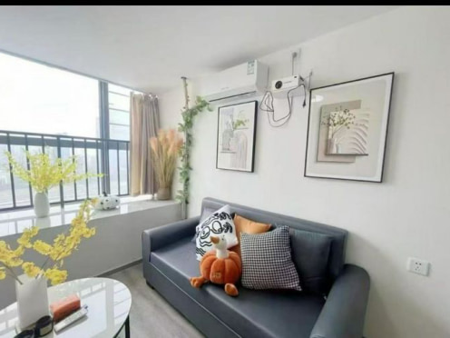 独栋·飞图公寓 梦魔方广场 急租成华东站附近套二 2室1厅