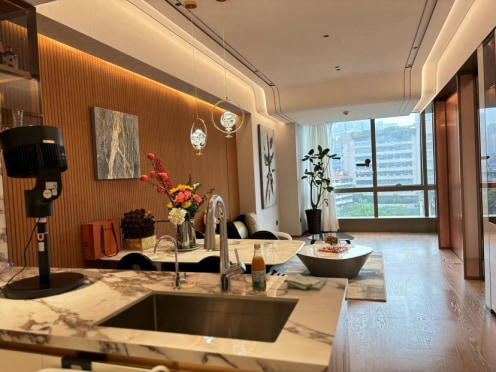 独栋·飞图公寓 成都嘉佰道 九眼桥 磨子桥 6号线 精装套一 1室1厅