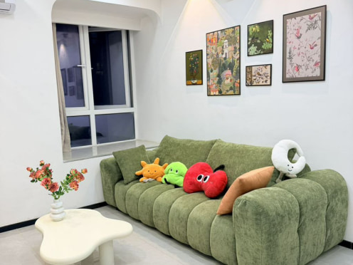 独栋·飞图公寓 兴龙名苑 出租龙泉十陵精装套一 1室1厅