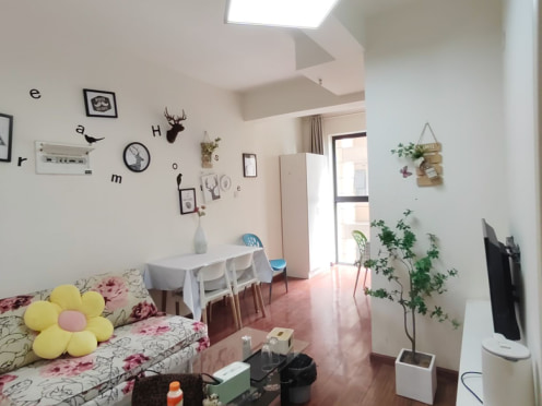 独栋·飞图公寓 清凤时代城 急租武侯区天府一街精装套二 2室1厅