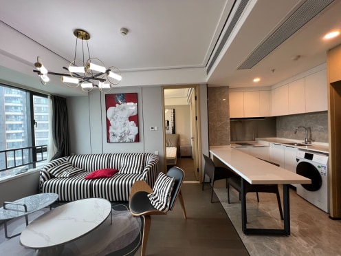 独栋·如米优家 优家-龙湖成都滨江天街 优家-可月付0中介 滨江天街 2室1厅