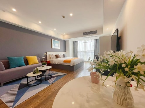 独栋·尔家国际 恐龙园店 可月付 有专属管家  拎包住    动静分离 1室1厅