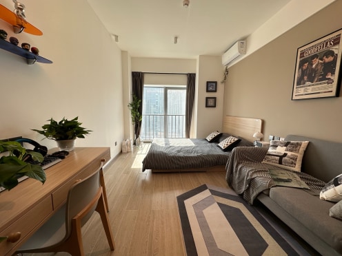 独栋·中海友里 沈阳和平国际公寓 网红阳光公寓A1 1室1厅