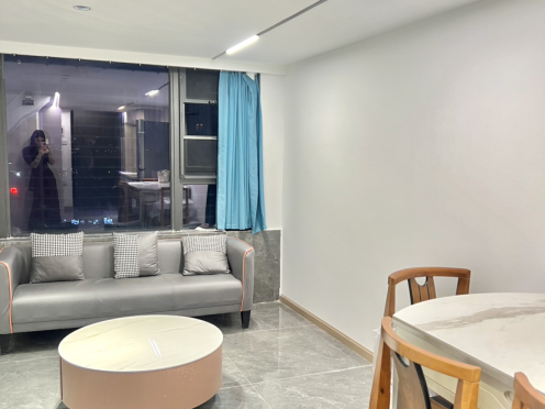 独栋·茂业成家 源上湾映江南店 0中介可月付！精装loft套二！5号线廖家湾！ 2室1厅